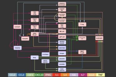 Joining dots tackle COVID 19 bioinformatics approach blood tissue map updated 770