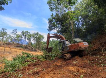 Keeping colombia megadiverse deforestation