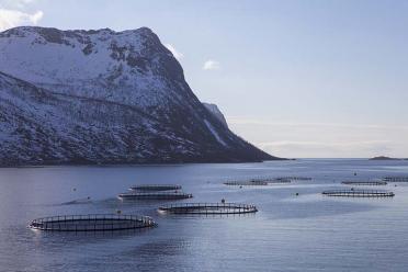 Looking to aquaculture salmon farm