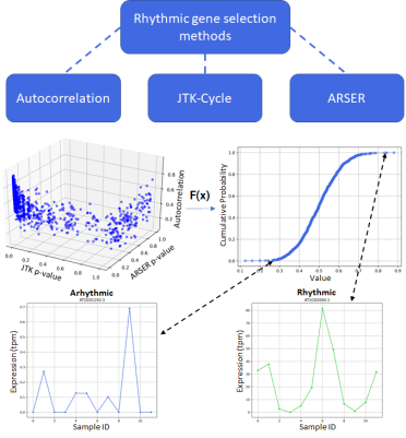 Fig4CircadianMethodology