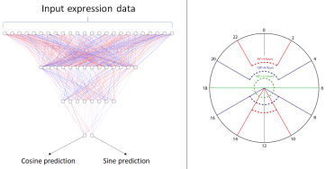 Fig5NeuralNetworkClock