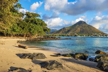 Pink pigeon beach