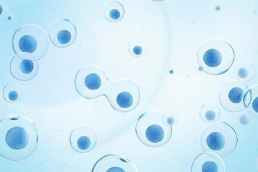 Single cell genomics whats in a cell blue cells