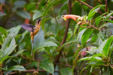 Colombia biodiversity