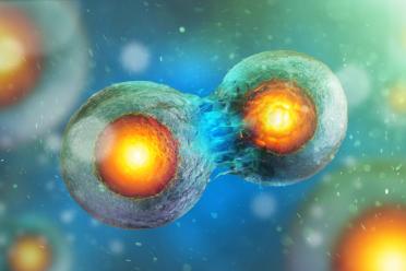 The human mosaic single cells split mitosis 770