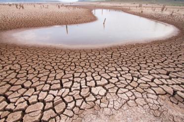 Philosophy of science climate change biodiversity 770