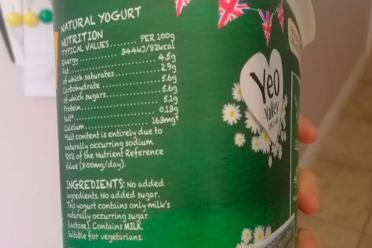 Women computing guts bioinformatics yoghurt natural yoghurt 770