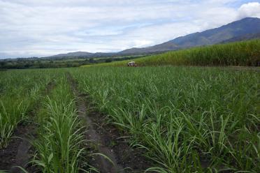 Women in Science sustainable agriculture in Colombia socioeconomic impact soil health 770