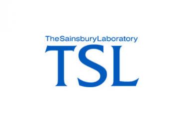 Tsl