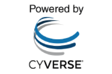 Cyverse