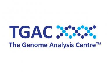 Stw tgac