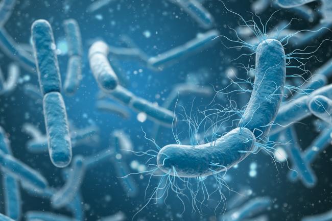 3D rendering of salmonella bacteria closeup in blue background.