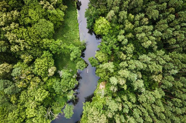 Aerial photo of a river winding through green forest