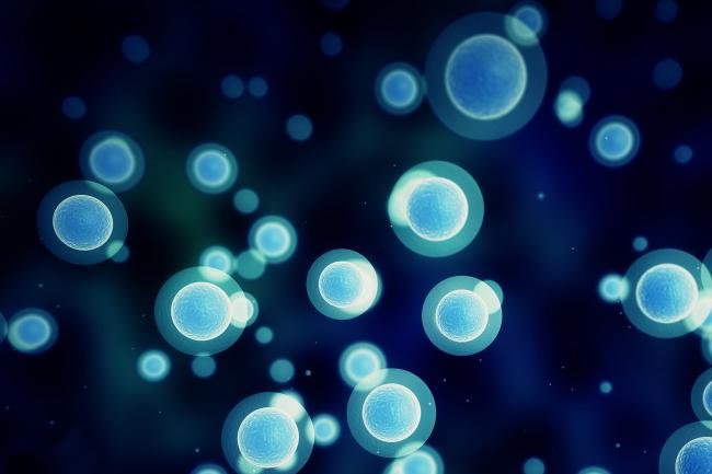 Digital illustration of blue cells