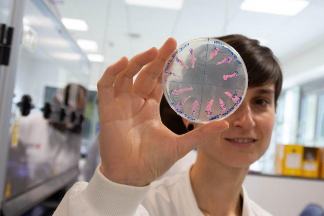 Researcher Eleonora holding up a petri dish close to the camera