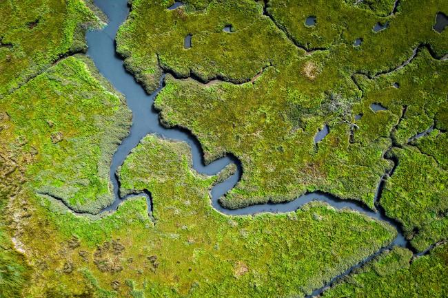 Aerial photo of a river winding through green marshlands