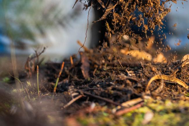 Soil being scattered on the ground in low light