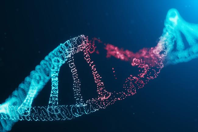 Digital illustration of a double helix with bright colours representing the DNA bases
