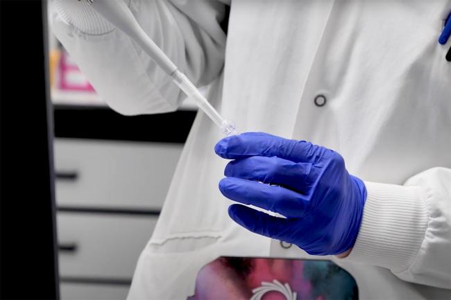 Scientist wearing blue protective gloves uses a precision pipette 