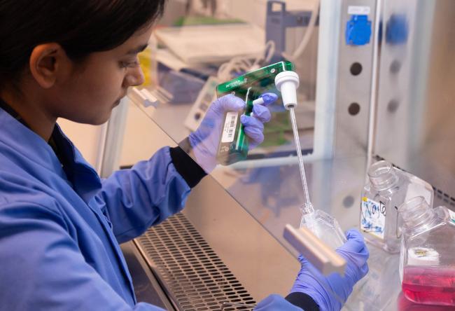 Year in Industry student Diya in the labs at Earlham Institute
