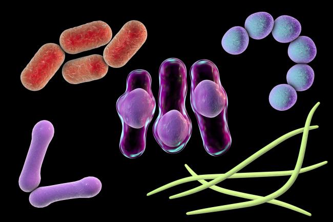 Digital illustration of mixed microbes isolated on a black background