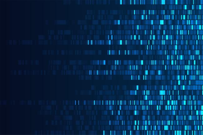 Rows of small bars of colour in shades of blue representing a genome assembly