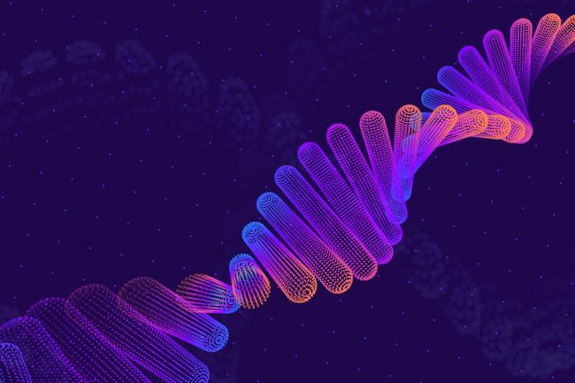 Abstract digital illustration of DNA double helix made up of rounded bars in neon purple and orange