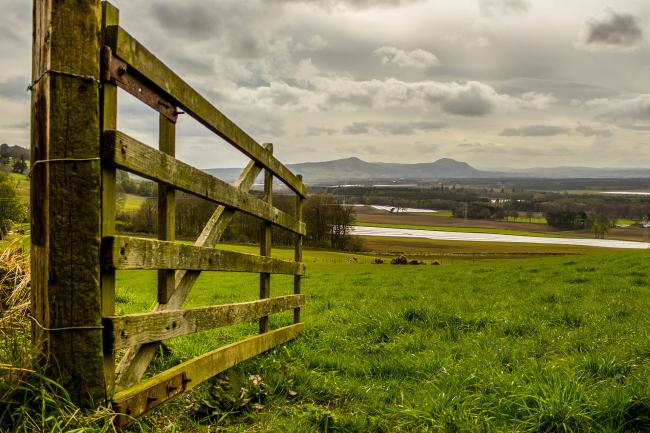 Open gate into farmers field