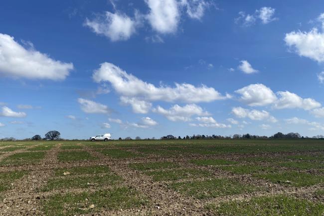 Landscape photo of a field with field trials in against a bright blue sky