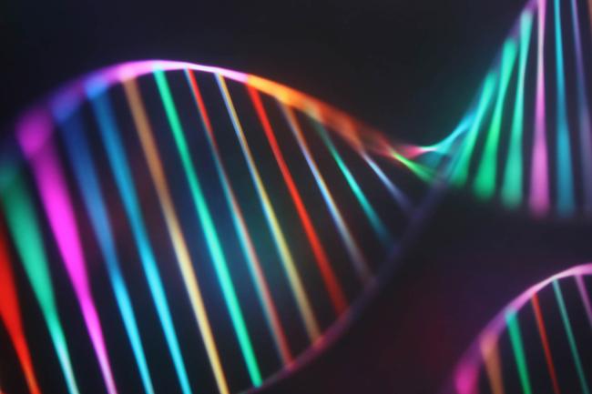 DNA double helix in bright neon colours against a black background