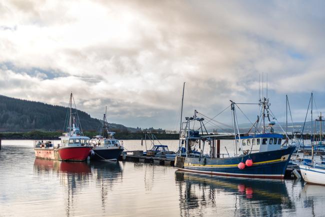 Fishing boats moored up in a harbour