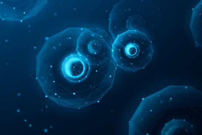 Digital illustration of abstract cells made up of dots and connecting lines