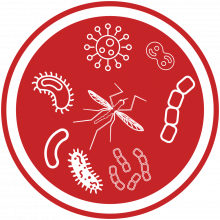 Marrying Microbes: in sickness icon