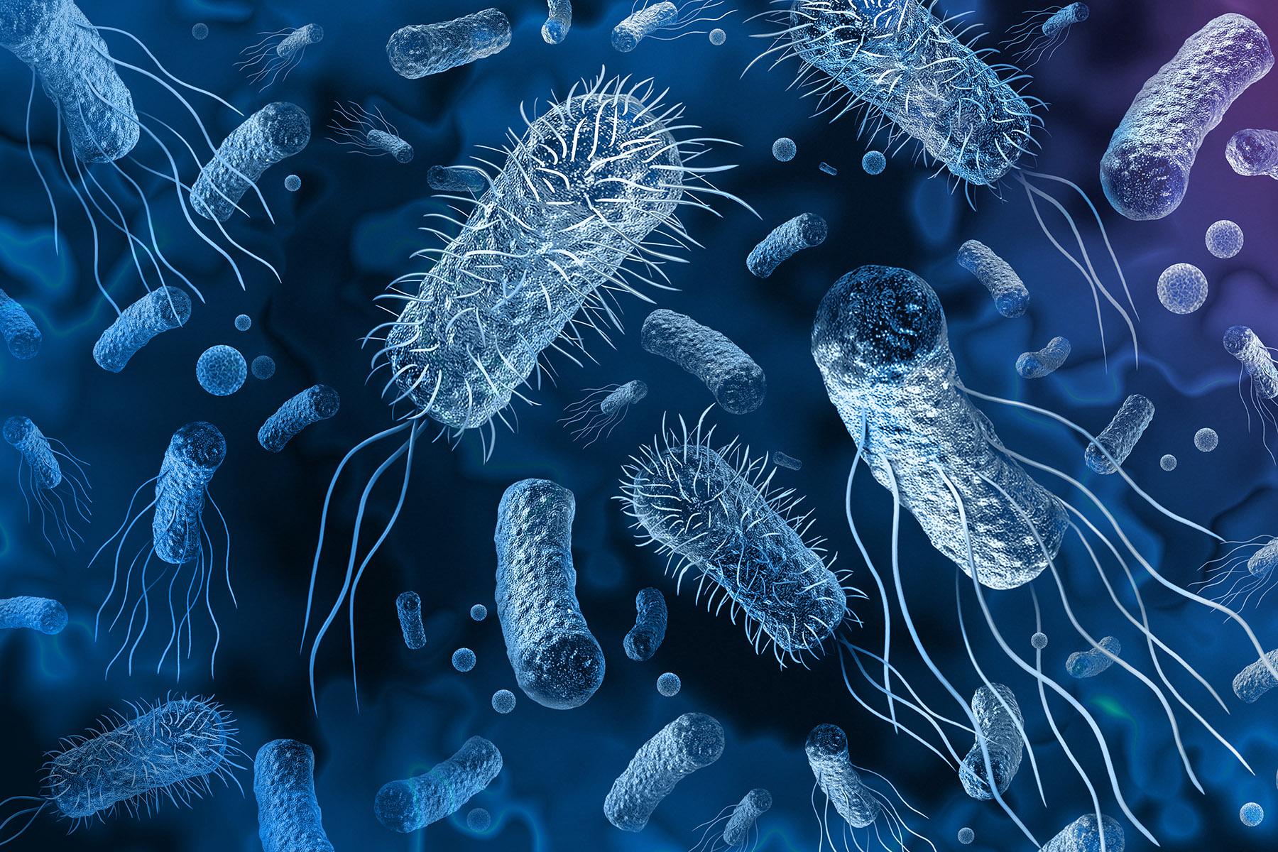 Digital graphic of various bacteria types