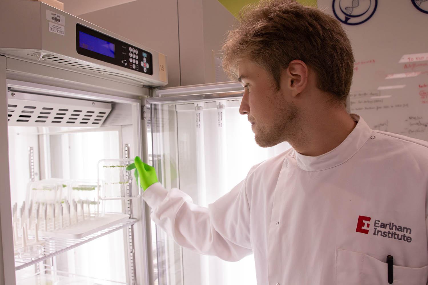 Visiting student reaching into a refrigerated unit with trays inside