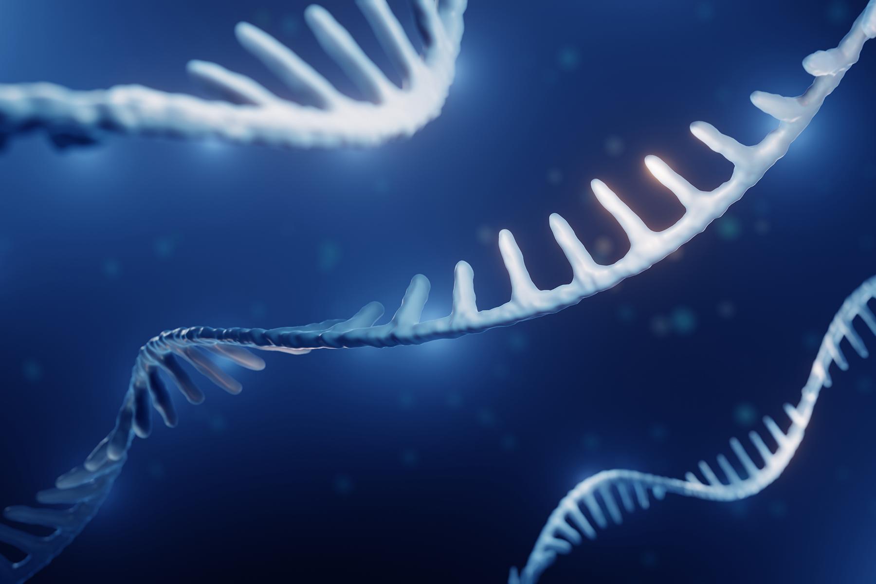Long read rna hero